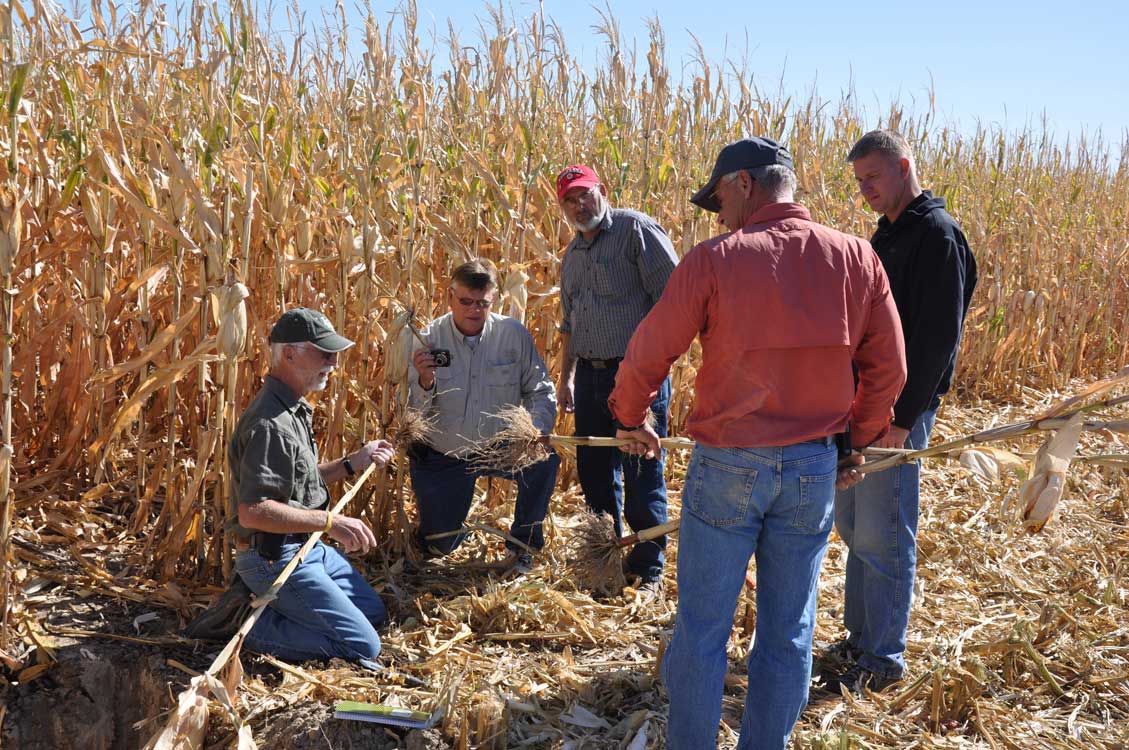 Strip-Tilling Corn With Carbon Boost-S Increases Yield - Orthman
